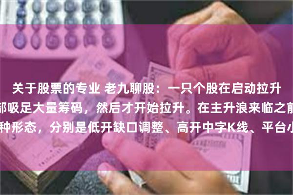 关于股票的专业 老九聊股:一只个股在启动拉升之前,通常主力会在底部吸足大量筹码,然后才开始拉升。在主升浪来临之前,可能会出现五种形态,分别是低开缺口调整、高开中字K线、平台小K线随后大阳线、巨量阴线调整和上下影...