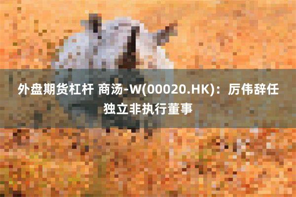 外盘期货杠杆 商汤-W(00020.HK)：厉伟辞任独立非执行董事