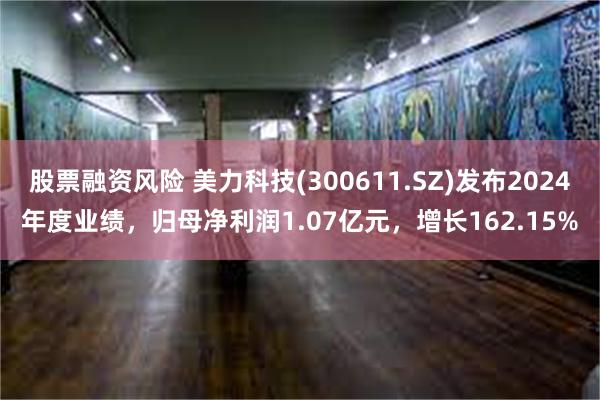 股票融资风险 美力科技(300611.SZ)发布2024年度业绩，归母净利润1.07亿元，增长162.15%