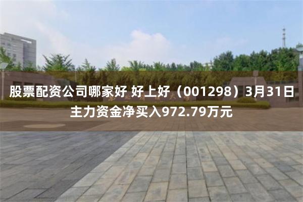 股票配资公司哪家好 好上好（001298）3月31日主力资金净买入972.79万元
