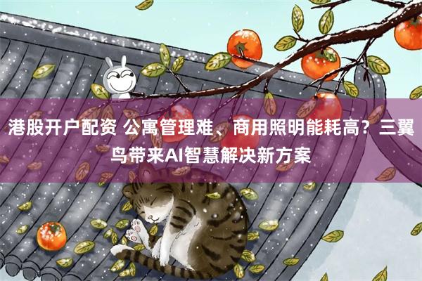 港股开户配资 公寓管理难、商用照明能耗高？三翼鸟带来AI智慧解决新方案