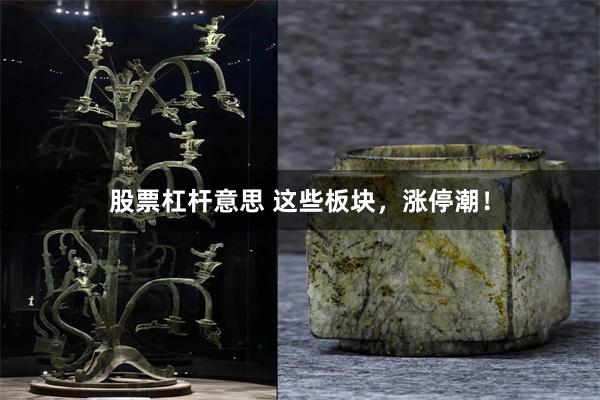 股票杠杆意思 这些板块，涨停潮！