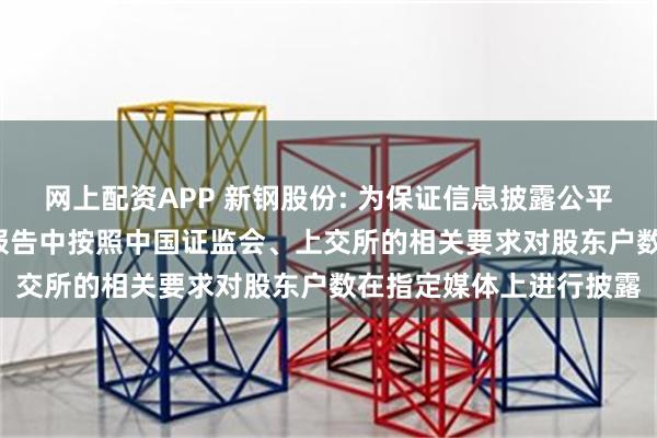 网上配资APP 新钢股份: 为保证信息披露公平性原则, 公司会在定期报告中按照中国证监会、上交所的相关要求对股东户数在指定媒体上进行披露