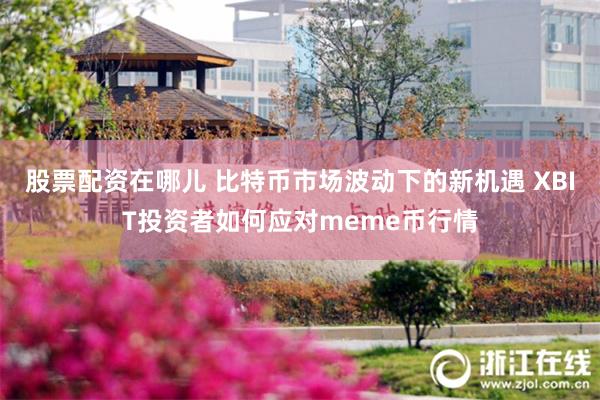 股票配资在哪儿 比特币市场波动下的新机遇 XBIT投资者如何应对meme币行情