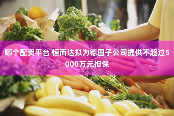 哪个配资平台 恒而达拟为德国子公司提供不超过5000万元担保
